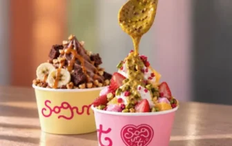 Two Sogurt frozen yoghurt cups with fruit and toppings